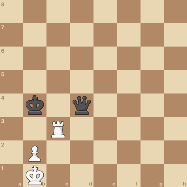 Rook-and-pawn fortress.